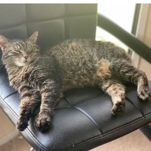 Meet your Posher, Julia